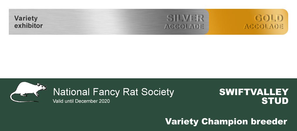 Swiftvalley Accolades 2020